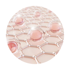 Collagen